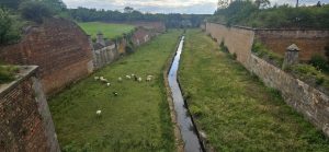 Das Bild zeigt die alten Mauern der äußeren Festung in Terezín. Eine Herde Schafe weidet auf der Wiese. An die ehemals militärische Nutzung ab 1780 erinnern zum Beispiel die Schießscharten in den Wänden.